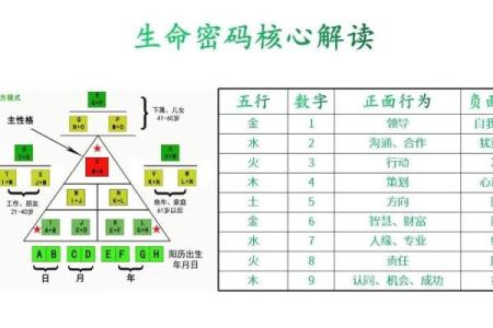 劲字五行格局揭秘：你的性格密码如何影响人生？
