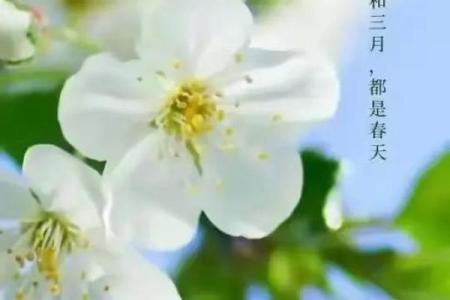 春分日：西方如何庆祝日夜平分