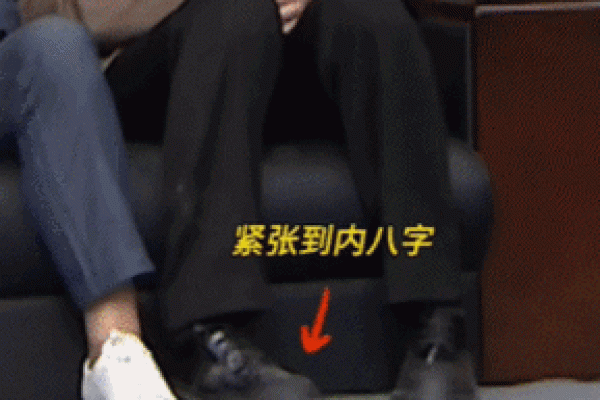 陈道明教你如何避开命运误区，破解八字中的暗藏玄机