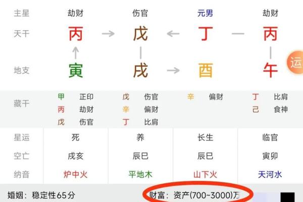 熊五行格局揭秘：如何洞察性格解析，成就人生巅峰？