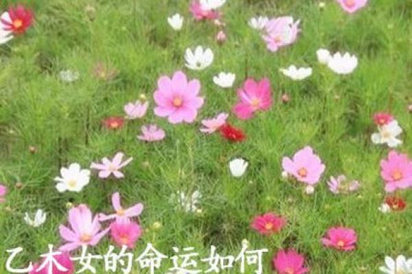 探索李嫣八字背后的命运密码，如何改变人生轨迹？