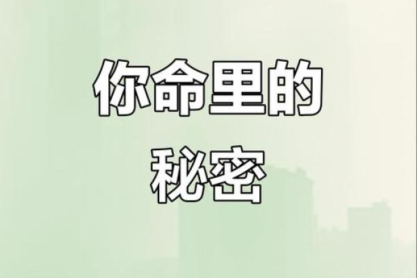 揭开命运密码：通过八字命理发现人生转机