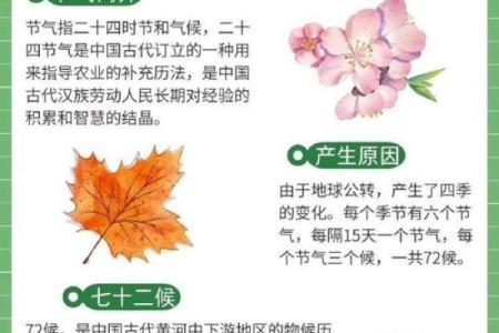 的节气与天文奇观：如何影响我们的日常生活