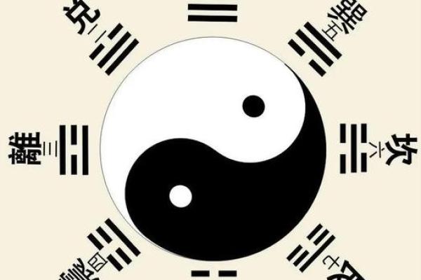 如何解锁你的命运密码？司萤居士八字命理深度解析