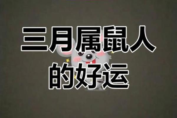 属鼠人的命运反而暗藏玄机:这些命理误区你是否也误入过? 属鼠人的命运反而暗藏玄机:这些命理误区你是否也误入过?