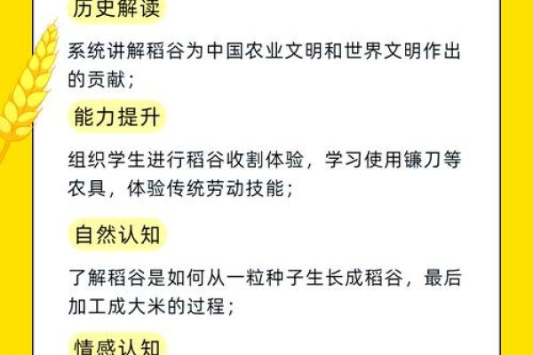 从农耕到现代，节日背后的风俗与习惯