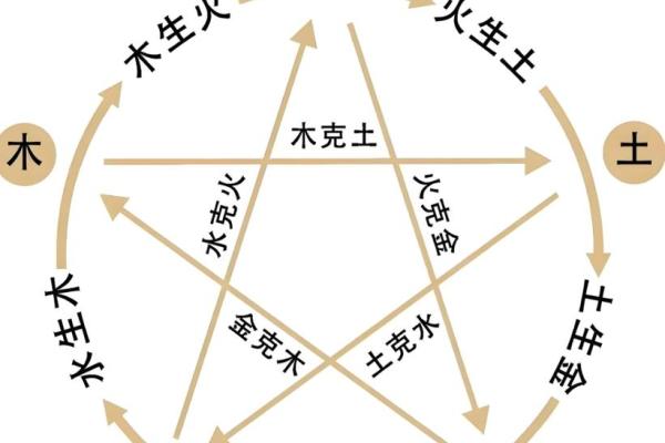 柔五行性格解析：如何改变命运，塑造最佳人生格局？