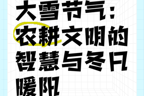 冬至前夕的农耕智慧：如何准备寒冷季节的丰收