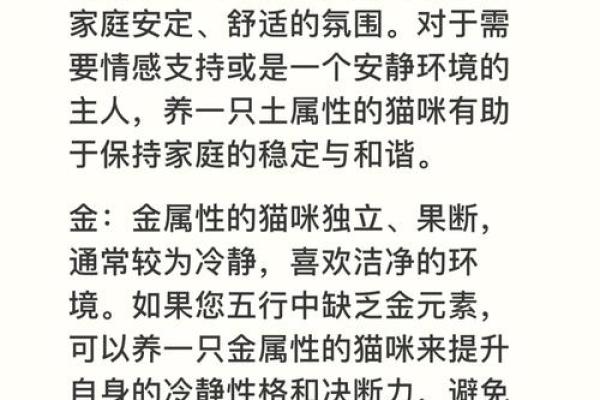 揭秘猫咪五行格局：性格解析中的实用驯养技巧