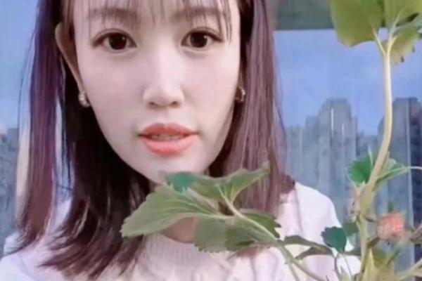 马蓉八字分析：命运背后的玄机竟然是这样