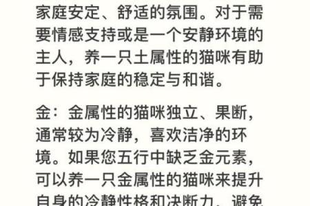 揭秘猫咪五行格局：性格解析中的实用驯养技巧