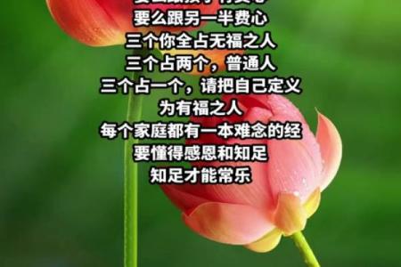 林凤娇命理中的“反转”：八字背后隐藏的命运真相