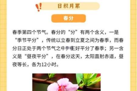 春分节气与农业生产的关系