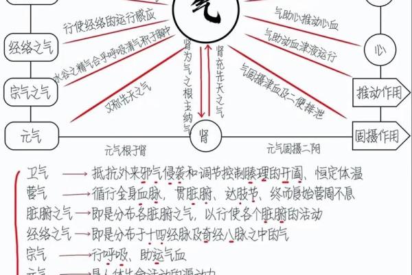阴阳行气命理的秘密，如何让命运反而逆袭