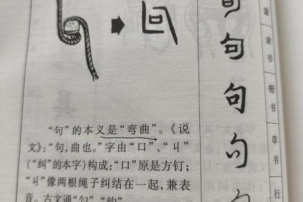 颠覆传统五行格局：寻字新解带你探索性格深层次