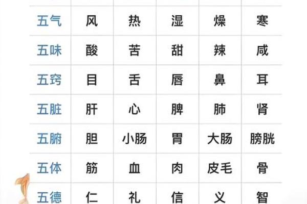 五行性格解析，你真的懂了吗？揭秘性格与命运的奥秘