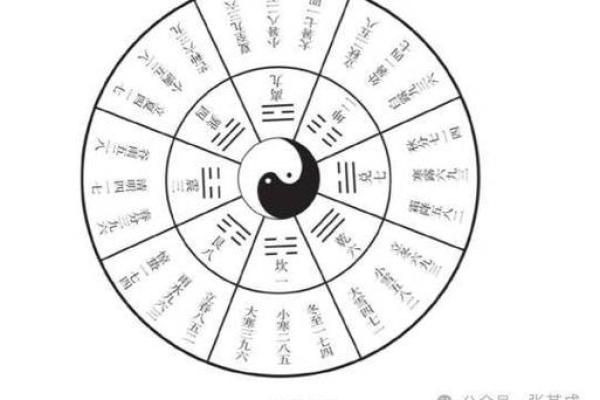 八十一节气与天文变化：探索大自然的时间密码