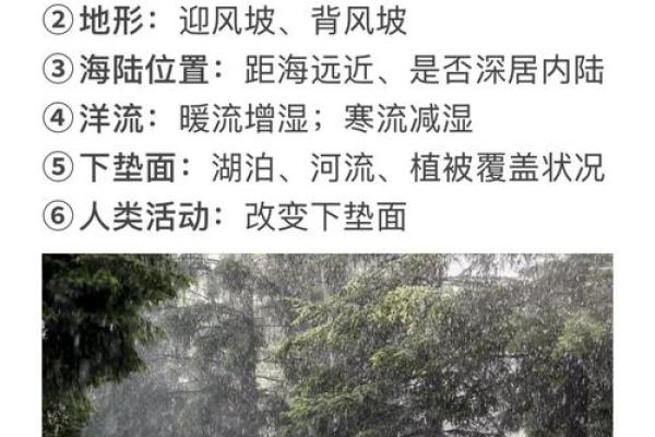 雨中五行性格洞察：误区解析，教你如何利用雨元素提升自我
