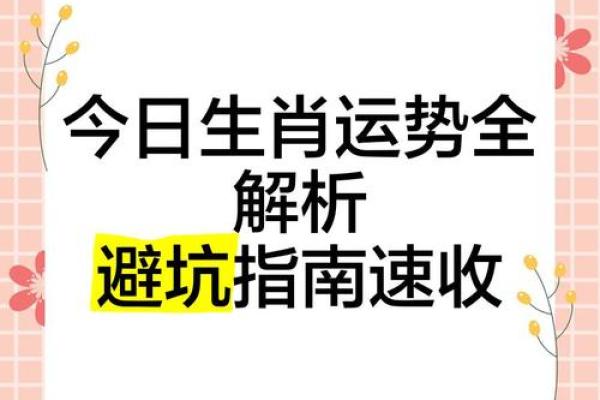 玉米五行格局揭秘：性格解析如何助你趋吉避凶