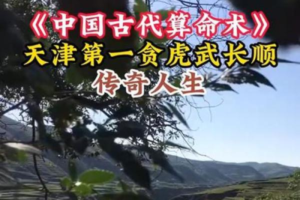 厦门命理揭秘：如何破解你命运密码中的隐秘玄机