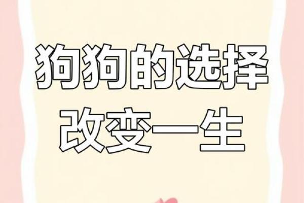 颠覆命理常识，如何破解“狗咬人”背后的命运密码，反而迎来好运