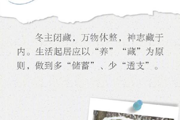 冬至节：韩国如何通过食物与习俗迎接寒冷季节