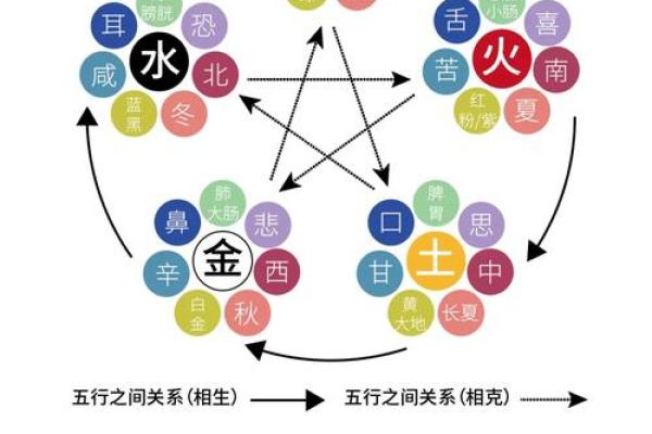 五行格局布局术：破解性格局限，实现人生飞跃