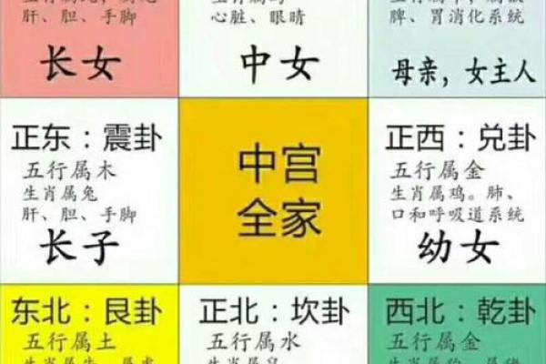 五行格局布局术：破解性格局限，实现人生飞跃