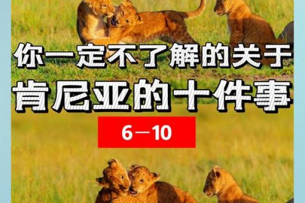 林肯八字命理的秘密，你的命运原来藏在这些细节中
