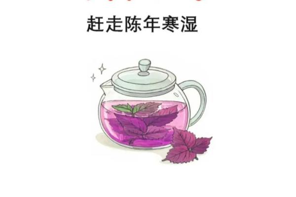 端午节：探秘端午的历史渊源与养生智慧