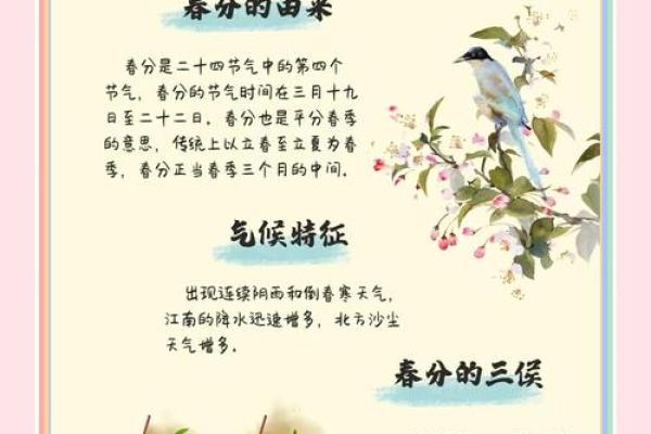 春分节气习俗与传统文化