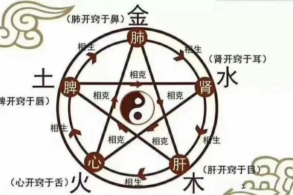 斐字五行格局揭秘:如何掌握你的性格密码? 斐字五行格局揭秘:如何掌握你的性格密码?