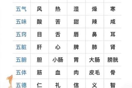 五行性格解析，你真的懂了吗？揭秘性格与命运的奥秘