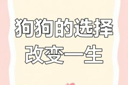 颠覆命理常识，如何破解“狗咬人”背后的命运密码，反而迎来好运