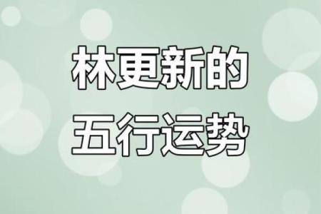 五行格局下的菲：揭秘性格误区与颠覆传统认知