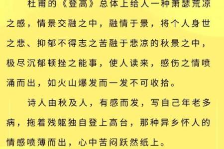登高插茱萸背后的传统文化与养生智慧