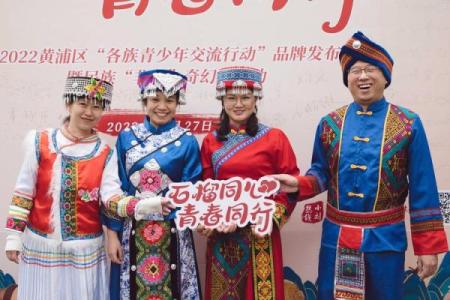 从巴西节日看民族团结与历史传承