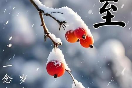 春夏秋冬，节日的轮回与文化传承