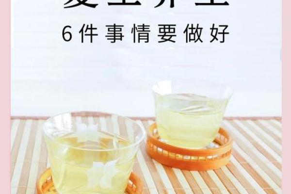 的夏至节，如何在养生与饮食上调节身体