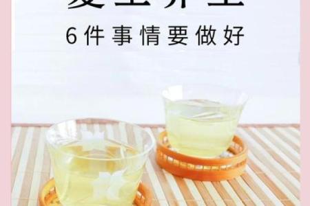 的夏至节，如何在养生与饮食上调节身体