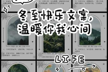 冬至表白节：与寒冷一起悄悄融化的温暖心意