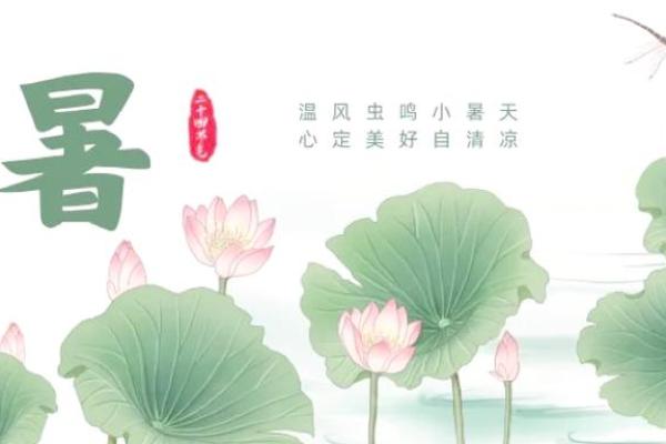 端午后最重要的节日，如何通过小暑养生度过酷夏