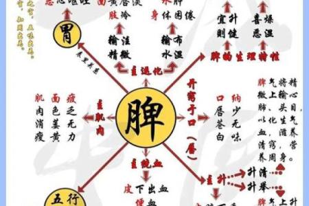 五行格局解读：颠覆传统，字迹里的性格解析新视角