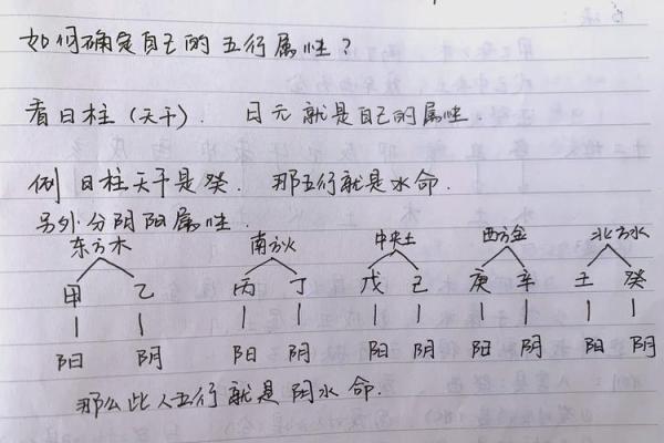 五行格局与性格解析，实用指南助你认识自我