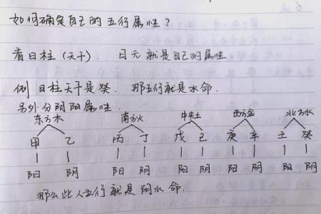 五行格局与性格解析，实用指南助你认识自我