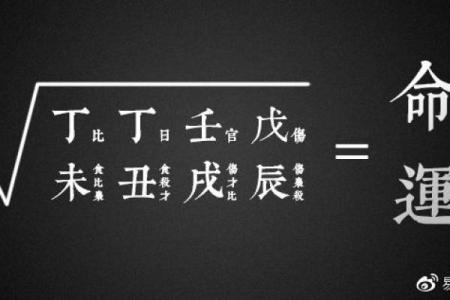 揭开南阳卧龙命理的神秘面纱：命运密码竟然如此简单