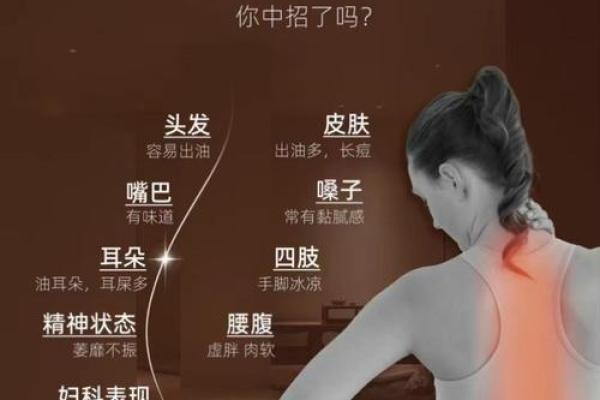 八月养生：如何应对暑湿，保养身体迎接秋季