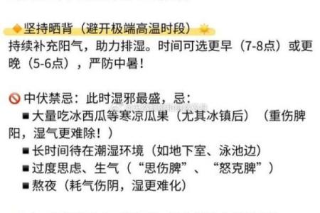 八月养生：如何应对暑湿，保养身体迎接秋季