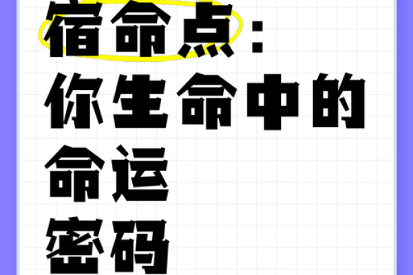谢娜无子命理解析：如何打破命运密码的局限