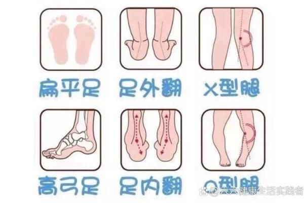 反而错了？腿长在命理中的作用被误解的真相